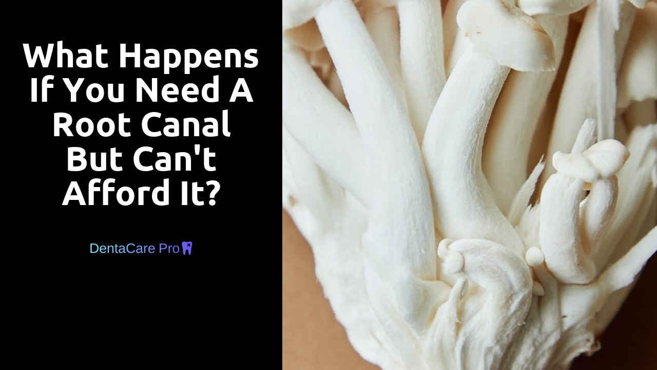 What happens if you need a root canal but can't afford it?